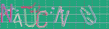 Megerősítő kód