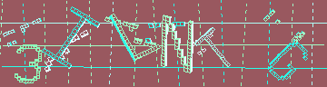 Megerősítő kód