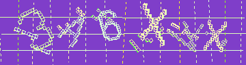 Megerősítő kód