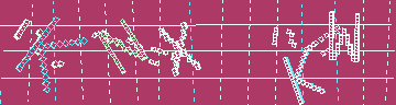 Megerősítő kód
