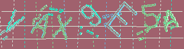 Megerősítő kód