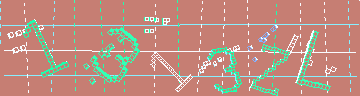 Megerősítő kód