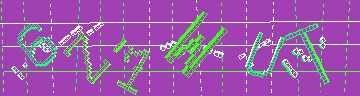 Megerősítő kód