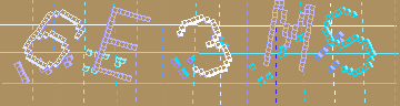 Megerősítő kód