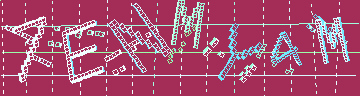 Megerősítő kód