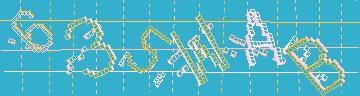 Megerősítő kód